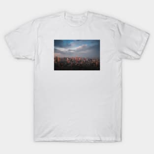 Tokyo Skyline T-Shirt